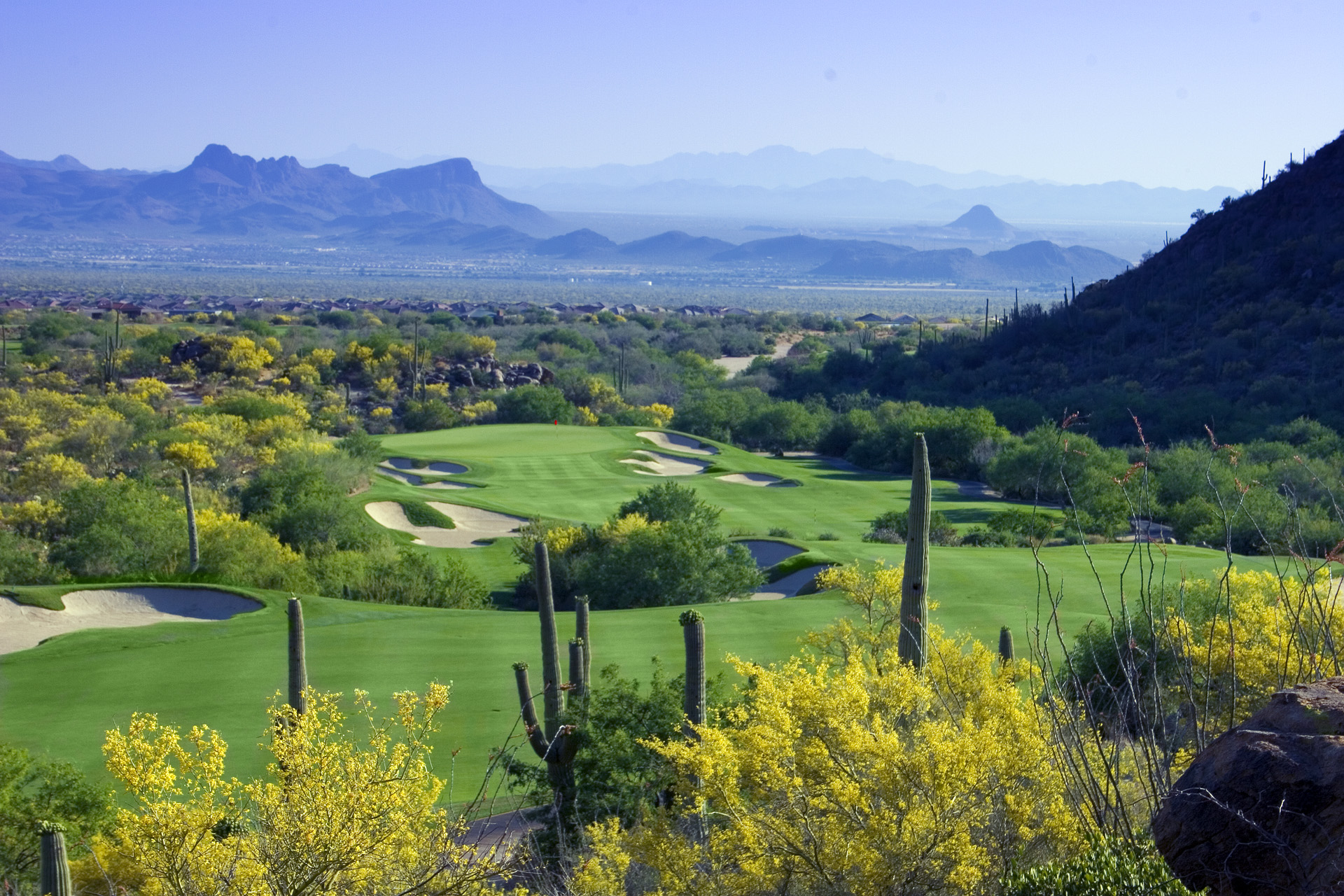 The Gallery at Dove Mountain  Tucson Golf Estates