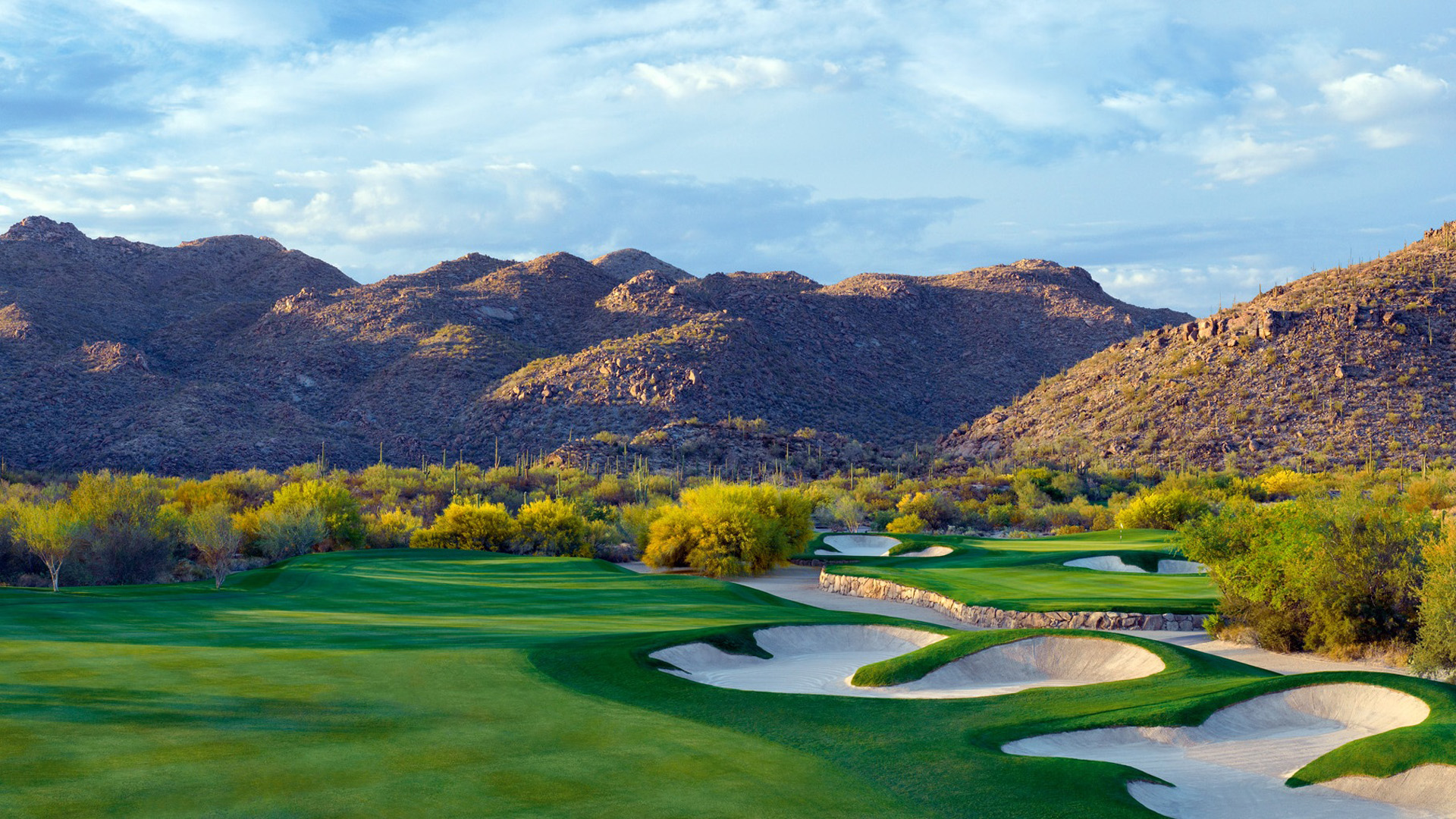 The Gallery at Dove Mountain Tucson Golf Estates