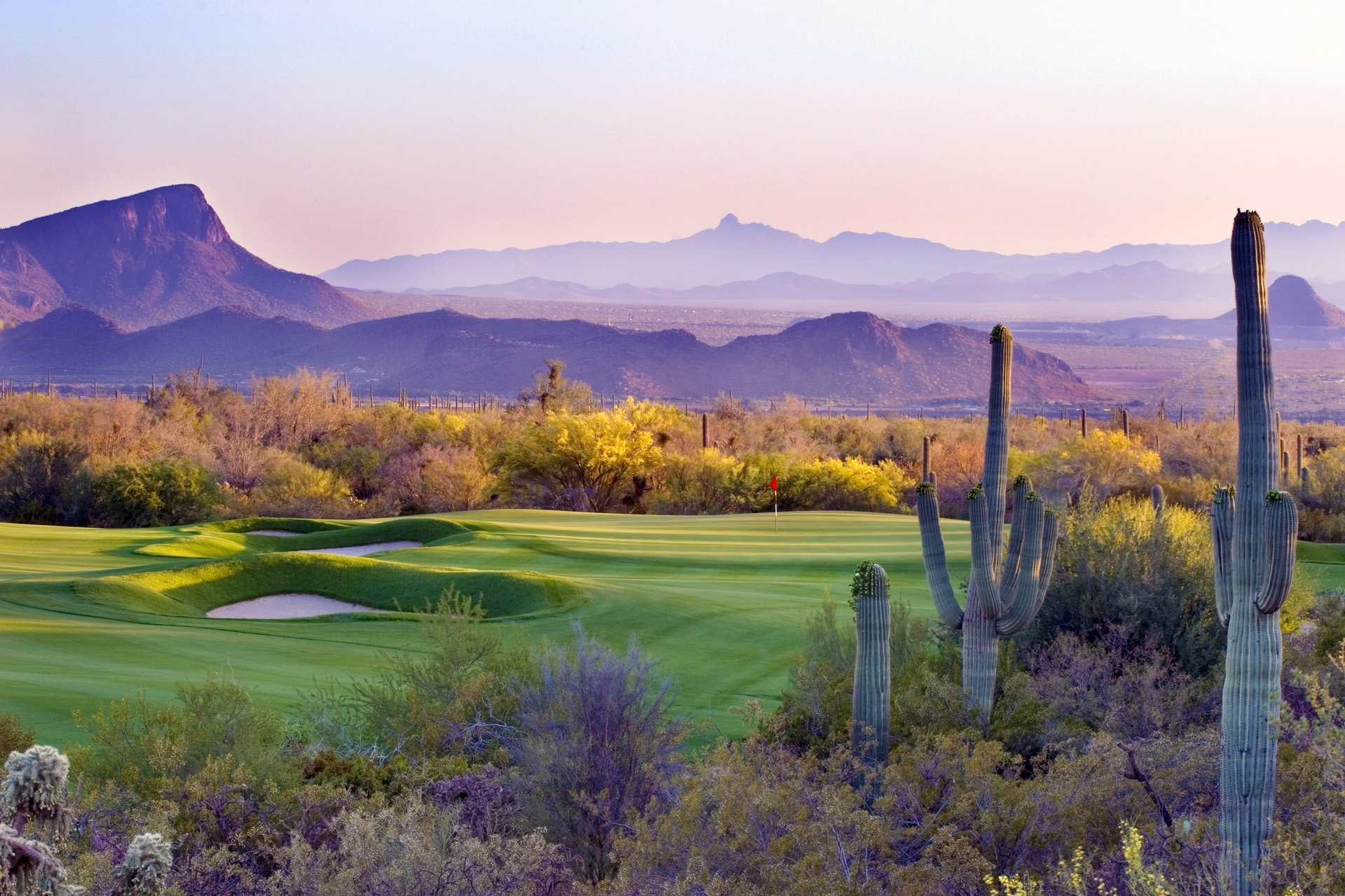 The Gallery at Dove Mountain Tucson Golf Estates