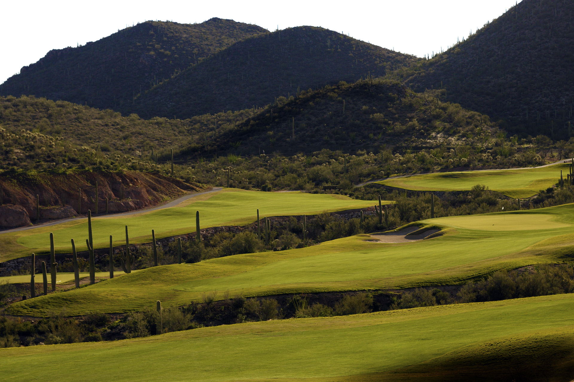 Starr Pass Golf Club Tucson Golf Estates 1033