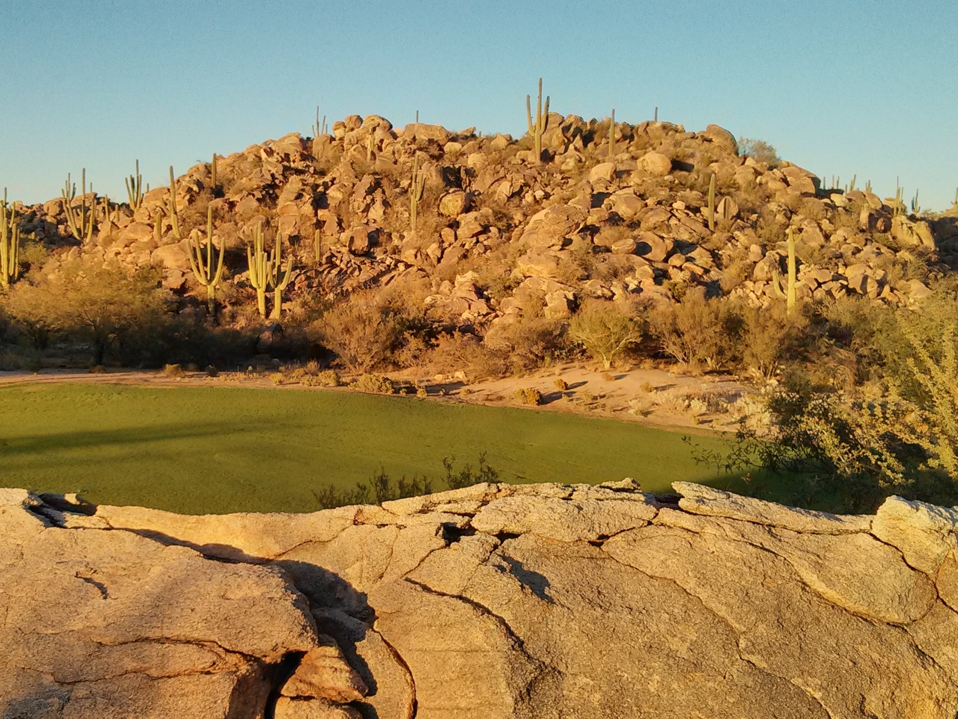 Stone Canyon Tucson Arizona